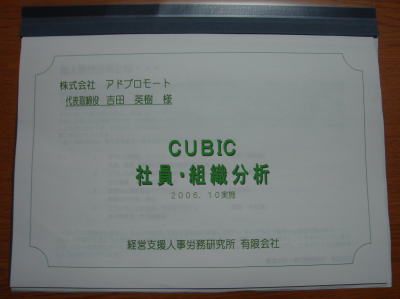 cubic1.jpg